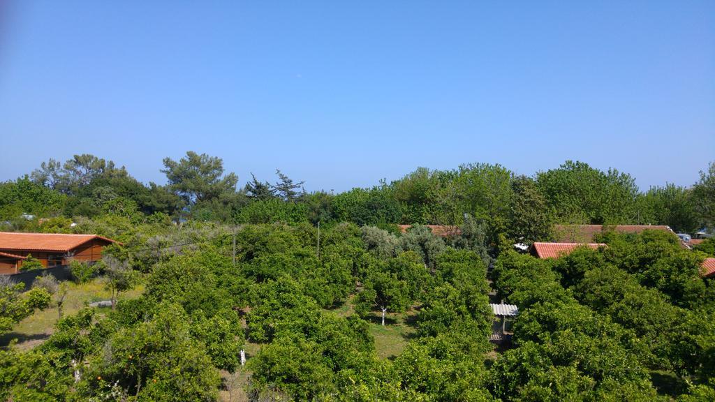 Cirali Olympos Hotel Buitenkant foto