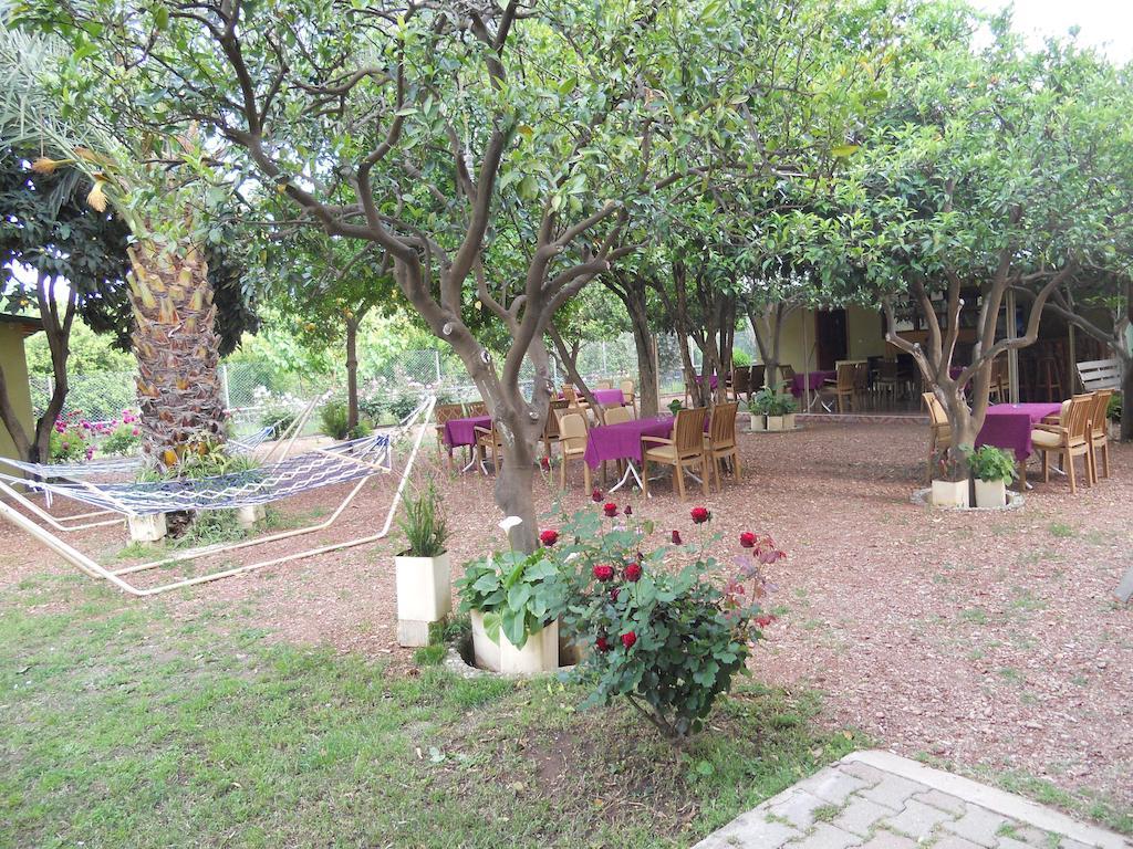 Cirali Olympos Hotel Buitenkant foto