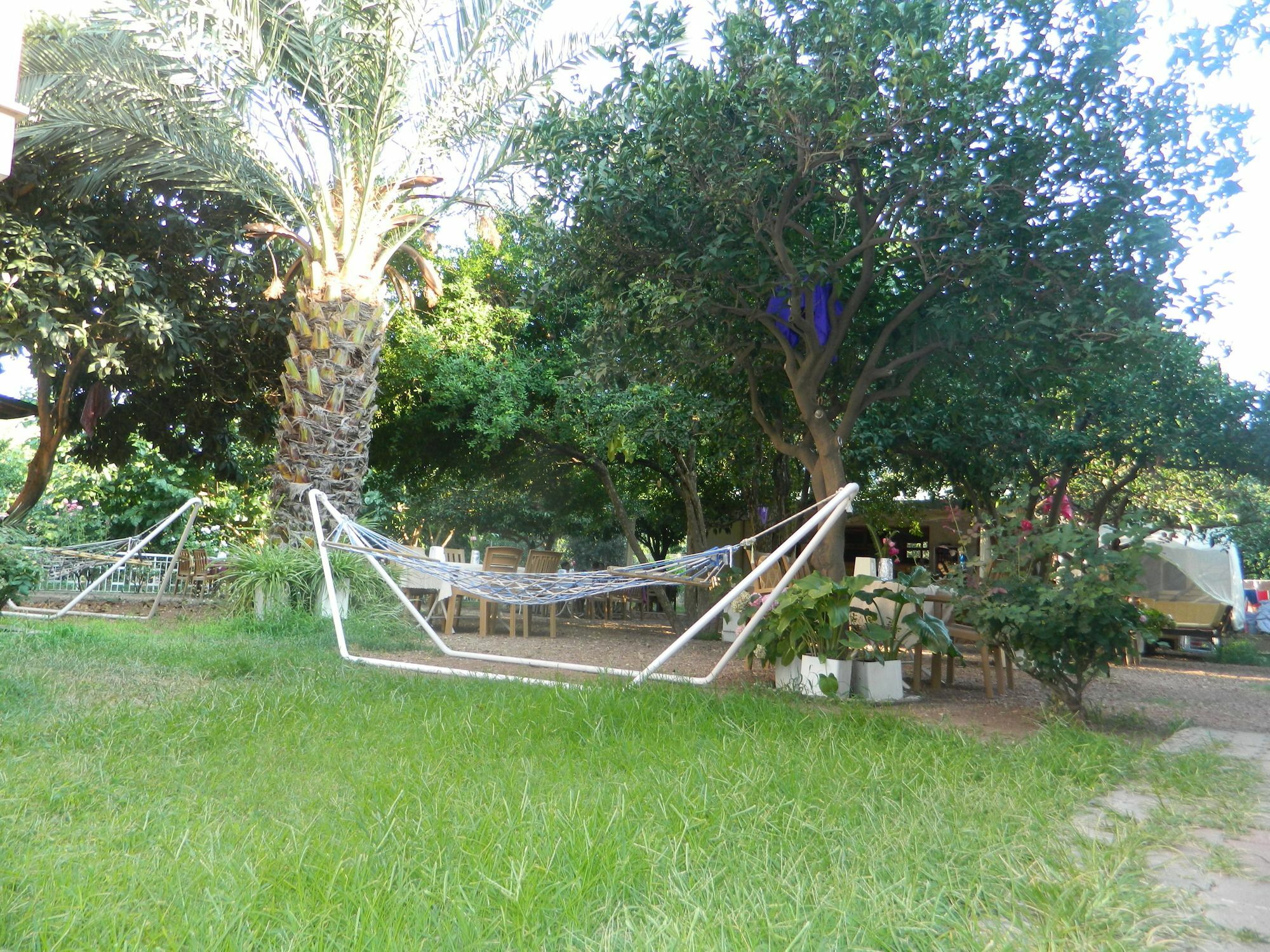 Cirali Olympos Hotel Buitenkant foto